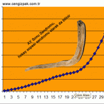 Şirketlerin Ay Sonu Sendromu – Month End Syndrome – Nedir, Nasıl Oluşur ? 