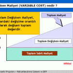 Değişken Maliyet Nedir (Variable Cost)