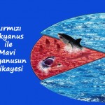 Seminer : Mavi Okyanus Stratejisi ile Rekabeti Nasıl Oyun Dışında Bırakacaksınız ? Blue Ocean Strategy