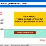 Sabit Maliyet Nedir (Fixed Cost)