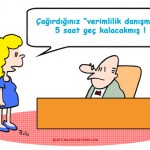 Verimlilik danışmanı …